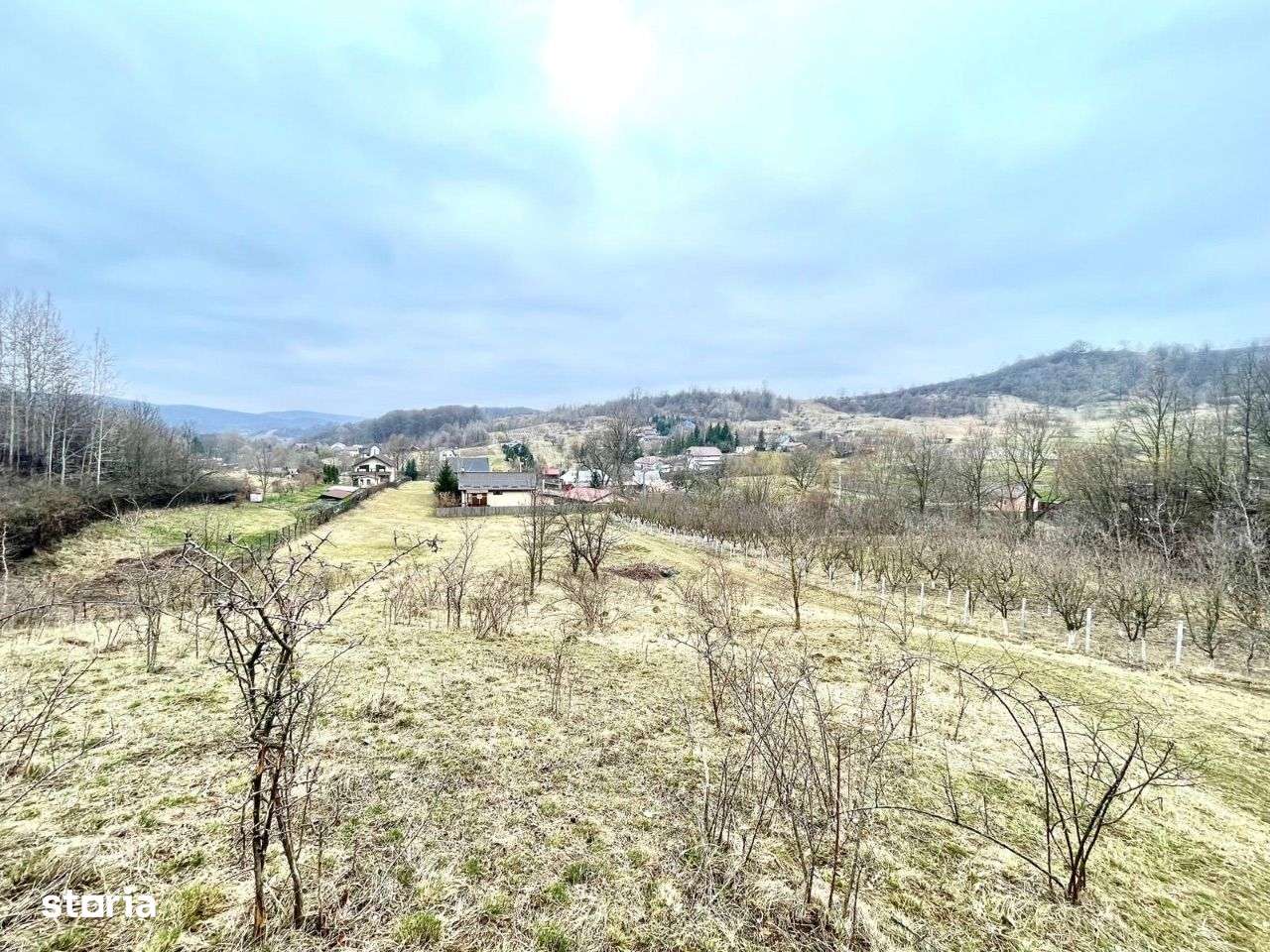 Teren De Vanzare - PODIS - DUBAS - Imagine principală: 4/4