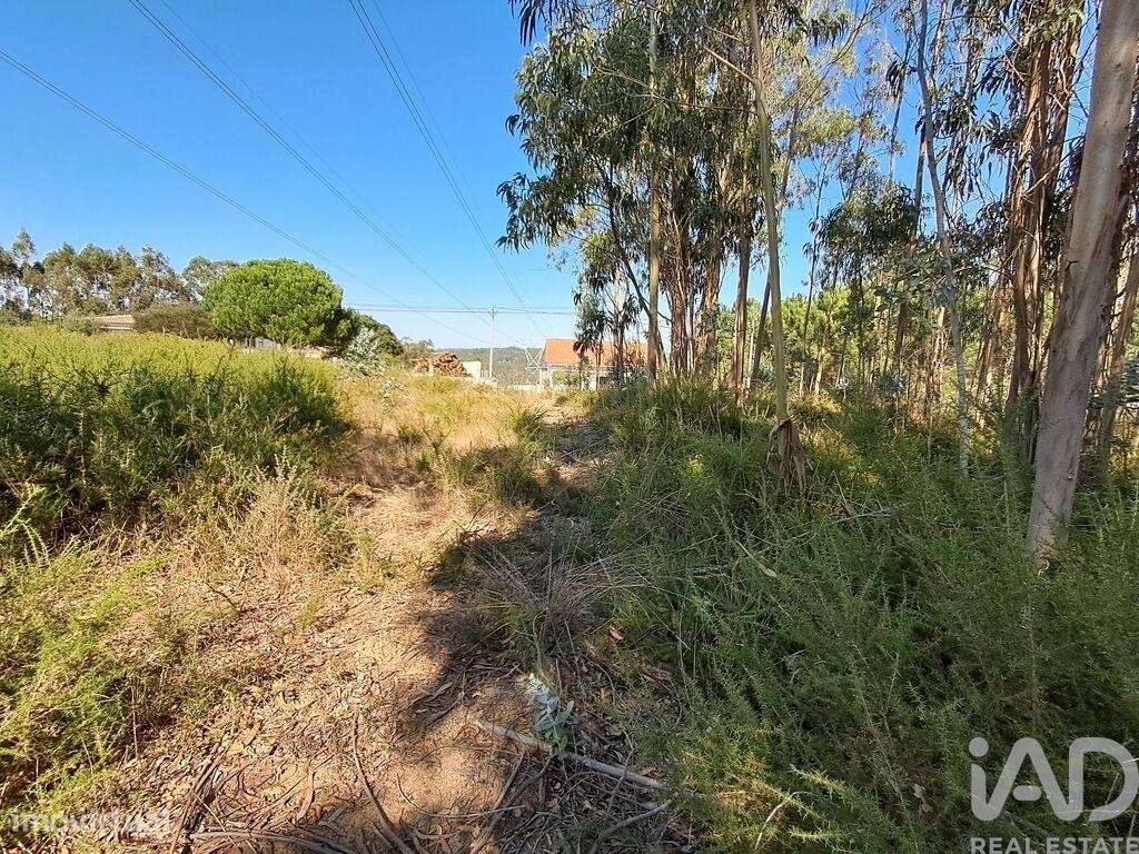 Terreno para construção em Souto da Carpalhosa e Ortigosa de 2154,00 m - Grande imagem: 4/17