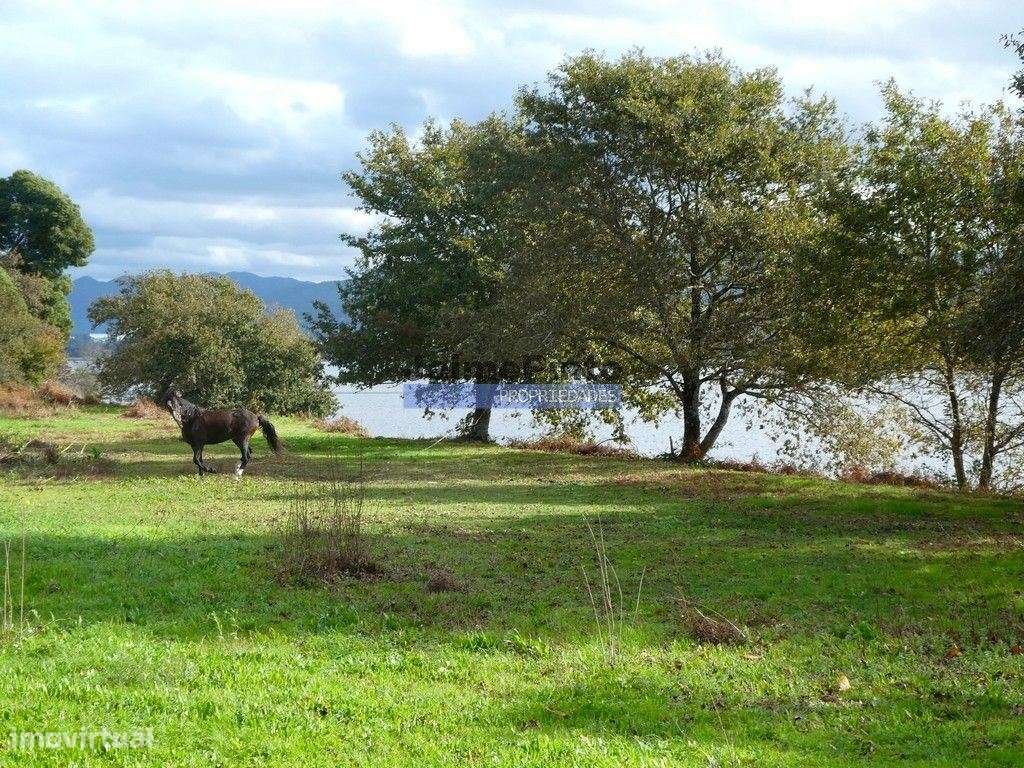 30.000m2, quinta contígua Rio Lima, Viana do Castelo. Portugal, Nor...-6