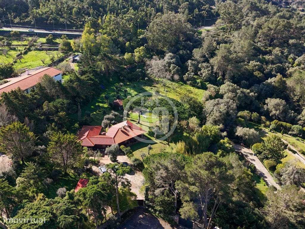 Moradia exclusiva com 6.588 m² de terreno urbano a 1 km do Centro H...-58