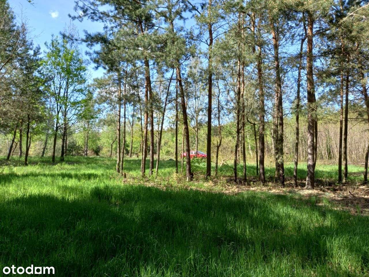 Działki budowlane w ekologicznym terenie