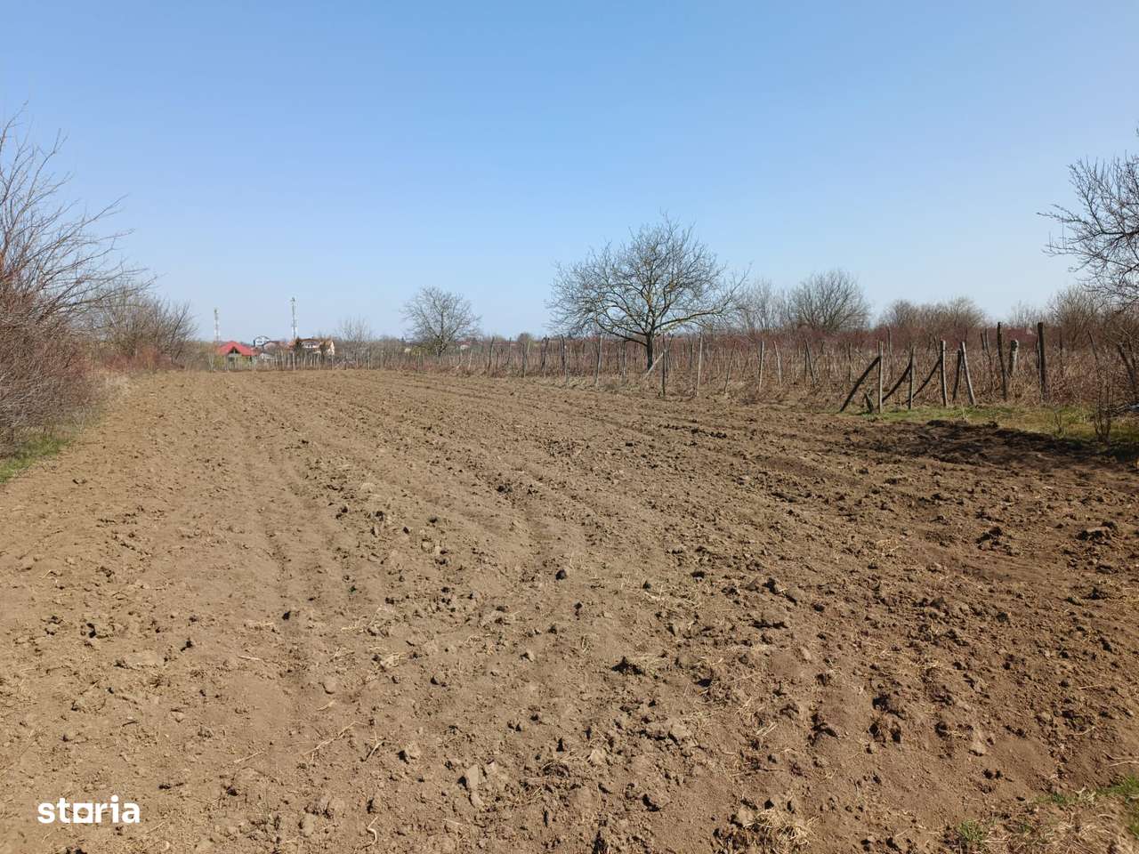 Teren extravilan 2400 mp in Afumati - Imagine principală: 2/3