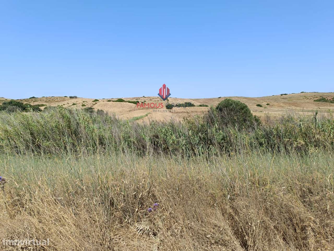 Terreno Rústico com Poço e Casa de Arrumos – Raposeira - Grande imagem: 4/10