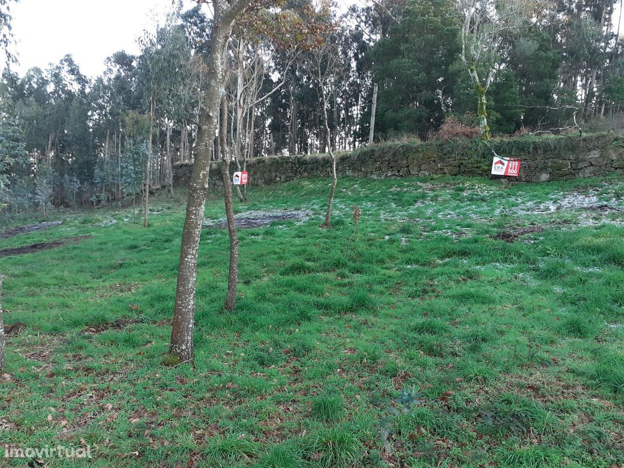 Terreno Misto em Canelas, Penafiel