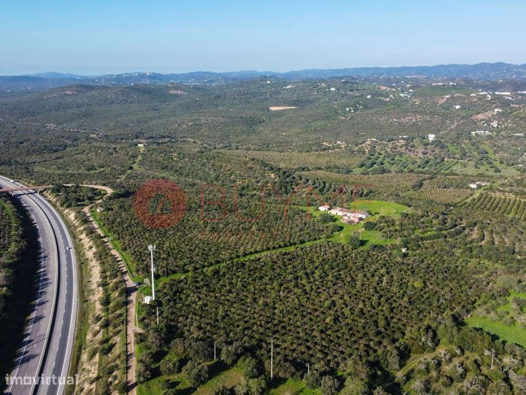 Terreno Misto Exclusivo em Monte Agudo, Tavira - 114 Hectares - Grande imagem: 5/24