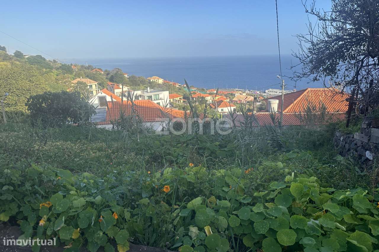 Terreno para construção em Santa Cruz-5