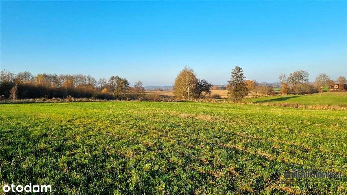 Parsęcko – działka 1,3 ha z możliwością siedliska.-10