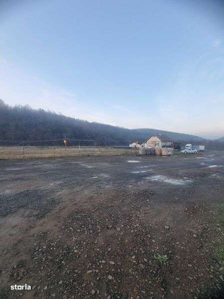 Teren intravilan cu constructii DN7 12732 mp - Imagine principală: 5/7