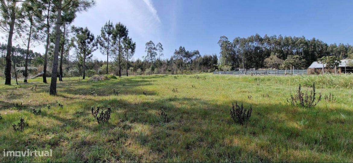 Terreno em Pombal || 1808 m2  || Construtível - Grande imagem: 5/17