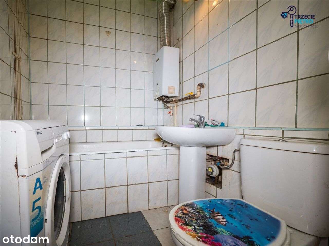 Pod Najem|Duże M-2|Blisko Tereny Zielone|-5