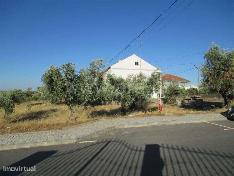 Lote / Fundão, Atalaia do Campo - Grande imagem: 4/4