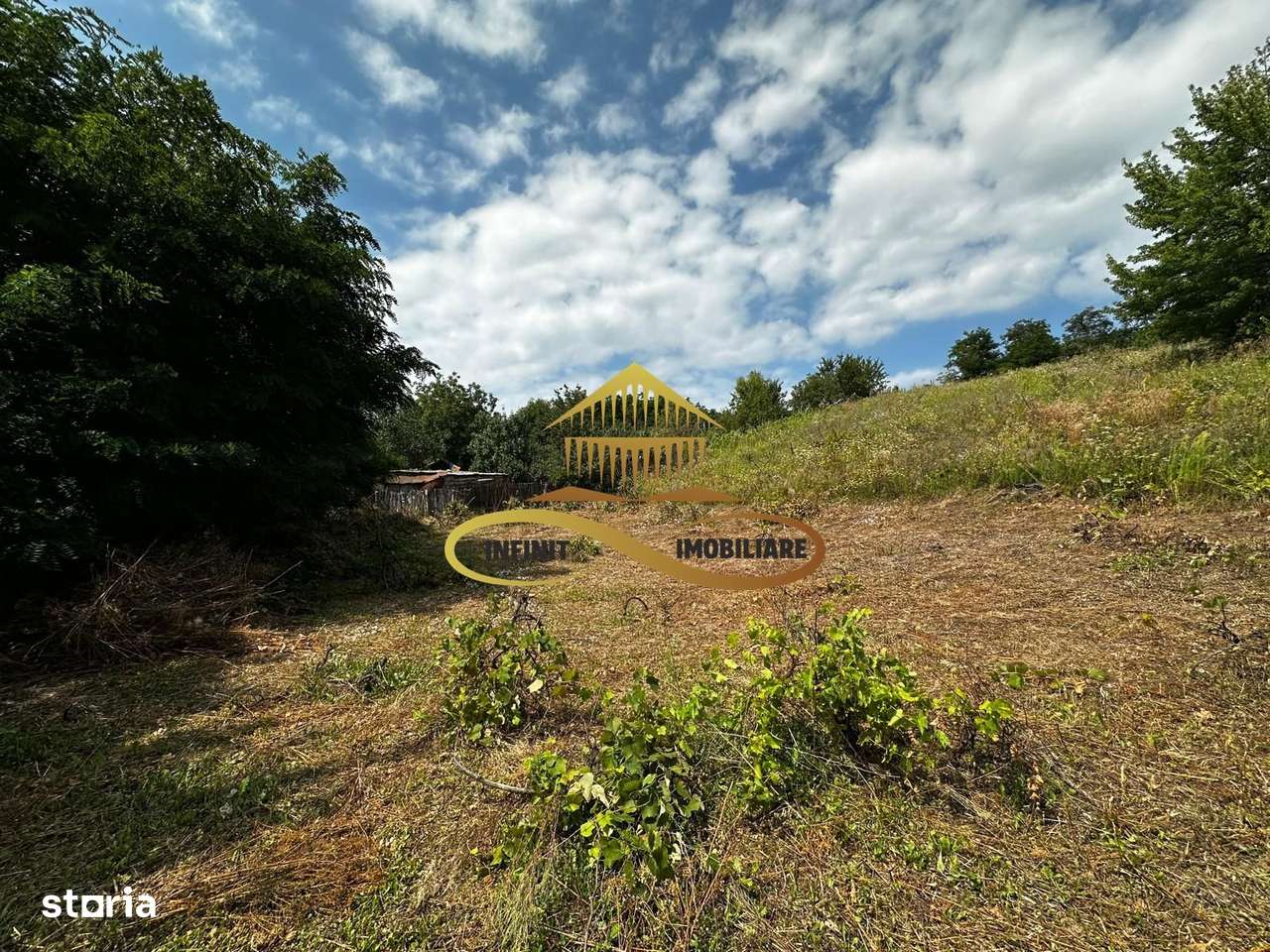 Teren extravilan 1870 mp-de vanzare 14€/mp Sohodol / Bacau - Imagine principală: 4/7