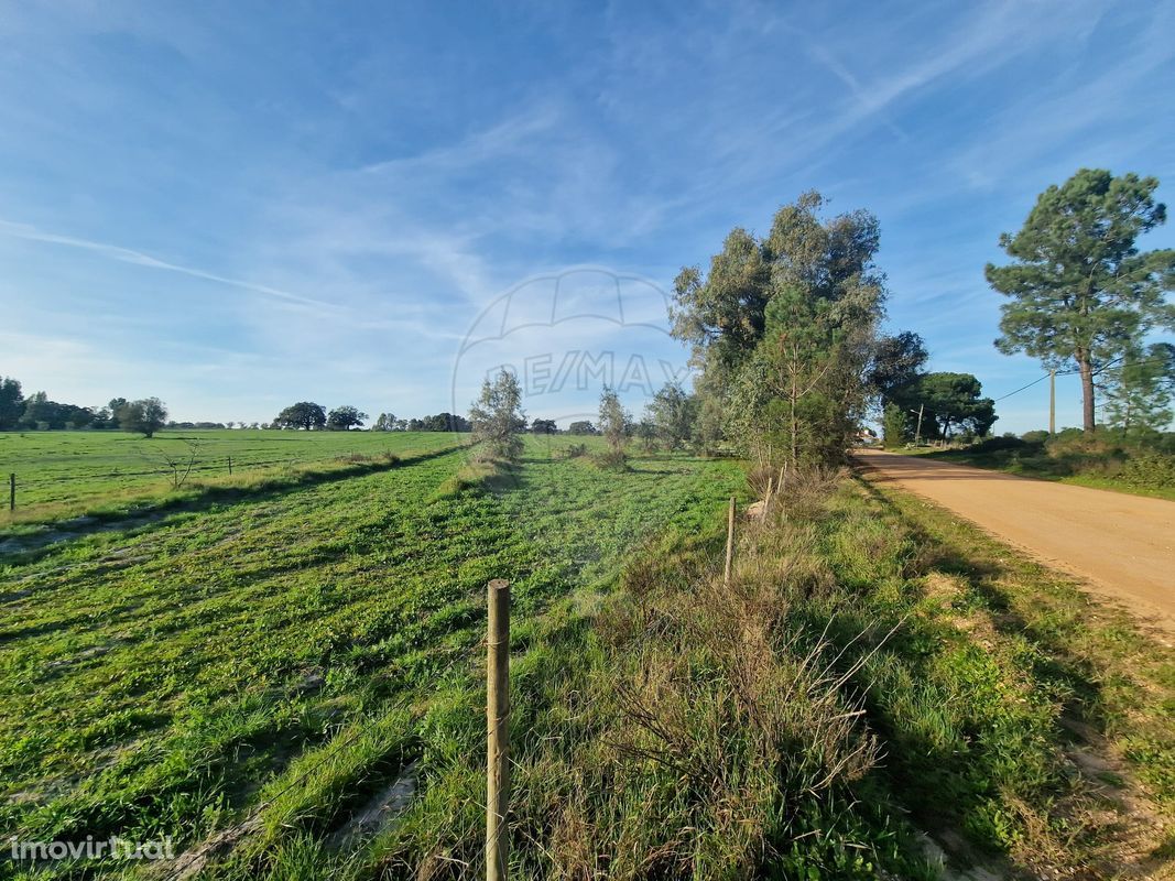 Terreno  para venda