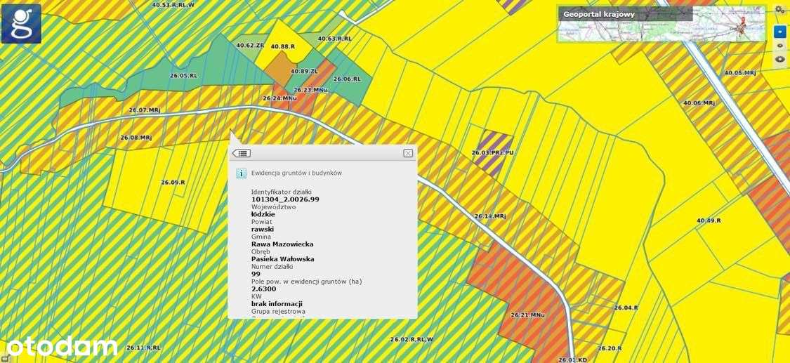 Działka Rolno-Budowlana Pasieka Wałowska K/Rawy - Pełny obrazek: 5/5