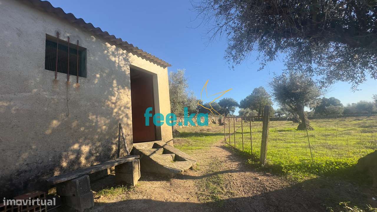 Quinta em Escalos de Baixo-23