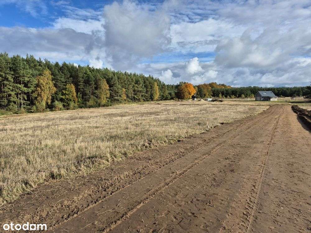 Działki Budowlane Przy Lesie Państwowym-0