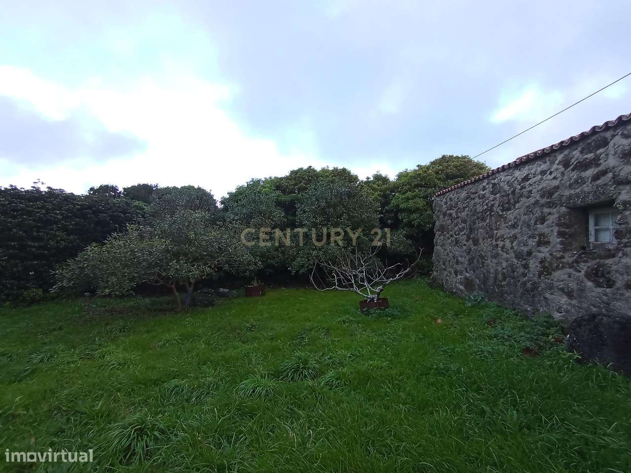 Fantástica quinta com área total de 2541m2, ilha Graciosa - Grande imagem: 5/11
