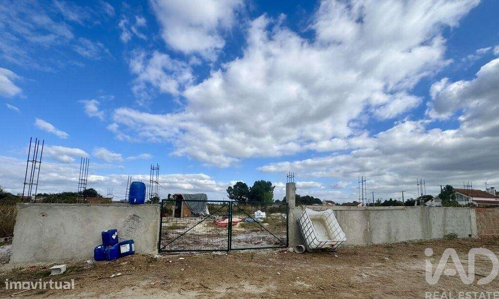 Terreno Agrícola em Quinta do Anjo - Grande imagem: 4/4