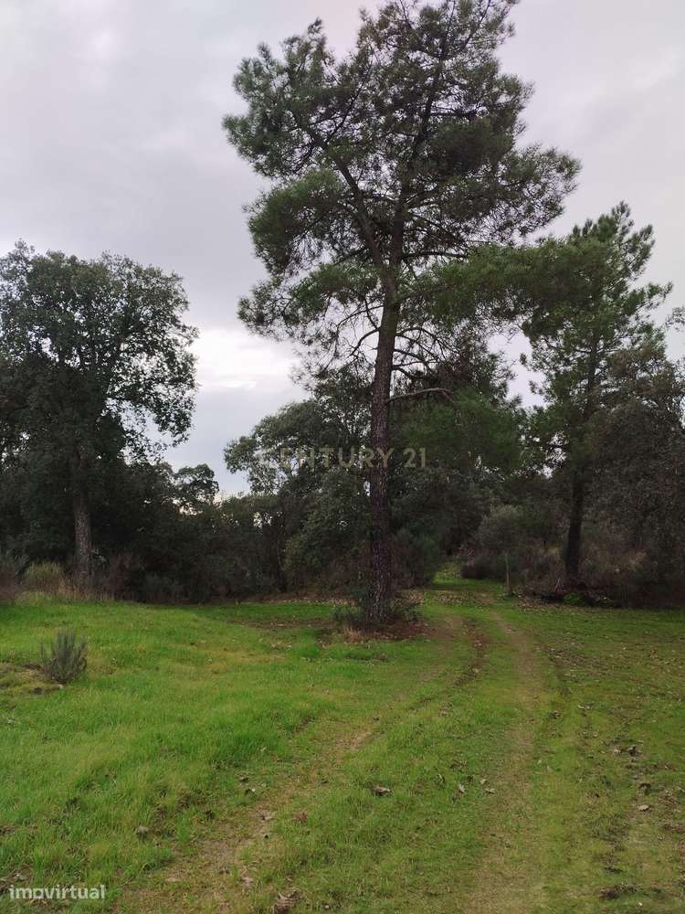 Terreno rustico com casa de Pedra-5