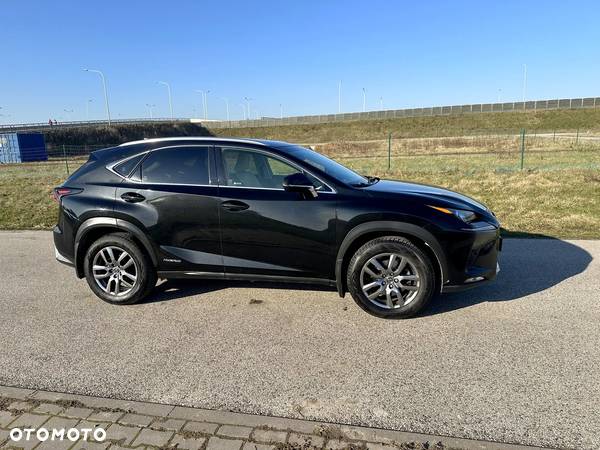 Lexus NX - 10