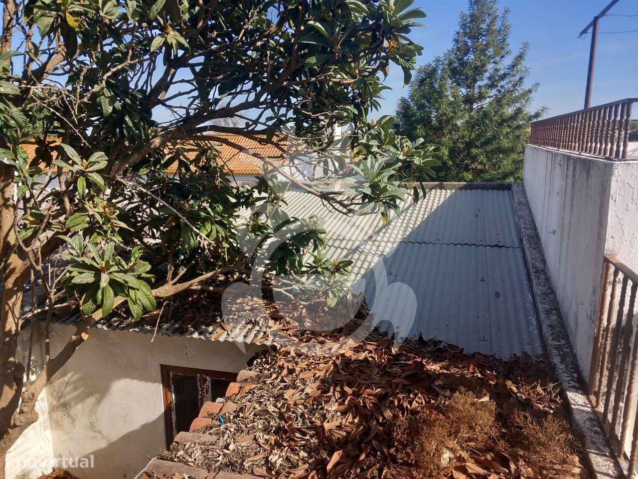 Moradia para restaurar - Mombeja-5