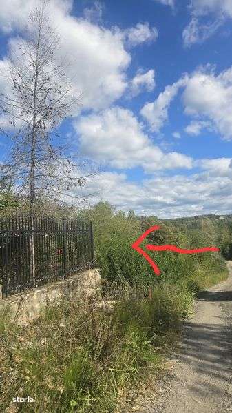 Loturi teren Poiana Campina, 30eur/mp,apa,curent,gata pentru construir - Imagine principală: 4/8
