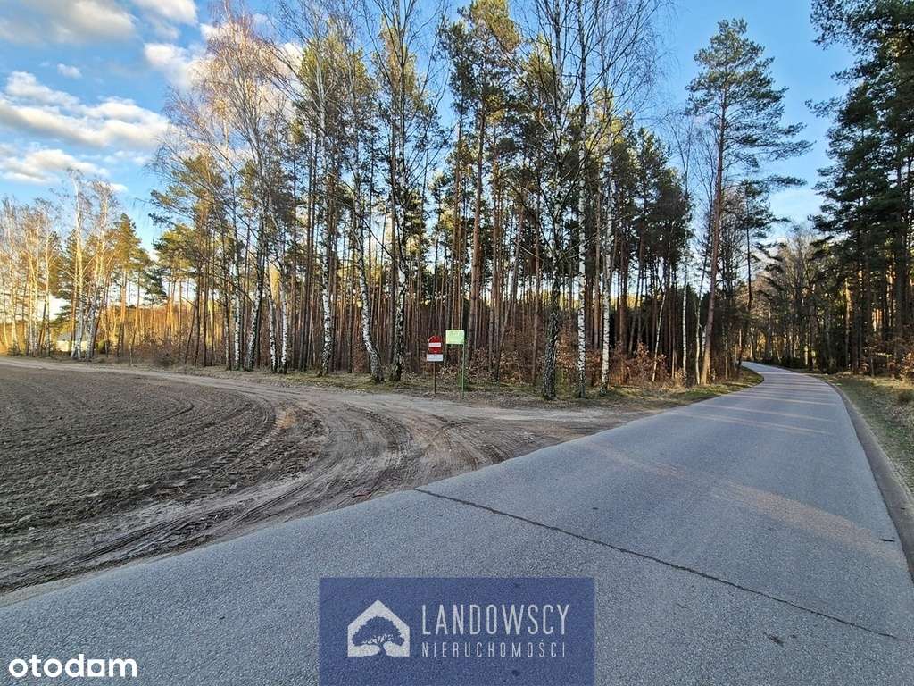 Słoneczna działka przy lesie | Kociewie - Pełny obrazek: 5/19