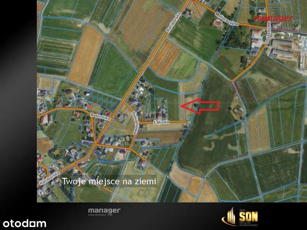 Twoje miejsce na ziemi... - Pełny obrazek: 5/7