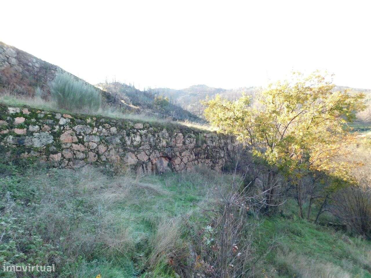 Quinta / Seia, Seia - Grande imagem: 4/8