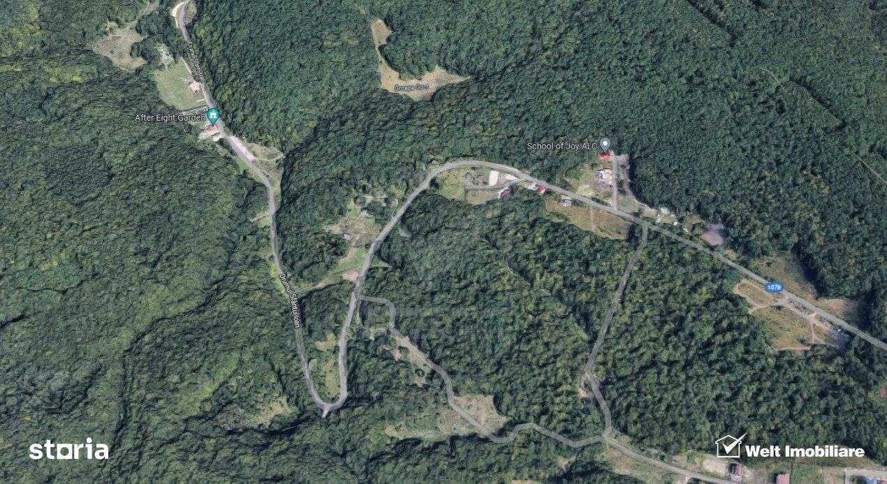 Posibilitate investitie,teren in Faget, Drumul Sfantului Ioan,UTR-Aapp - Imagine principală: 2/3