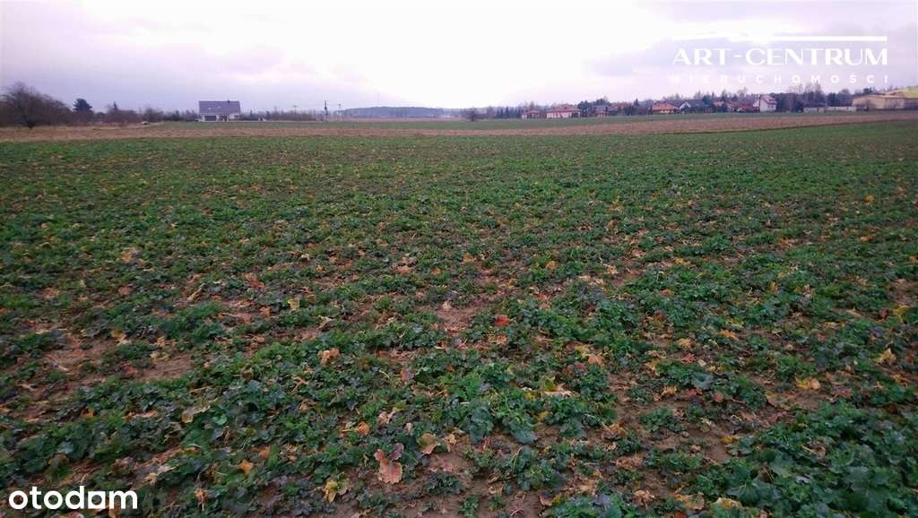 Działka Ciechocinek-8