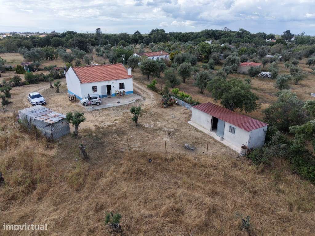 QUINTA (4.500 m2)-20