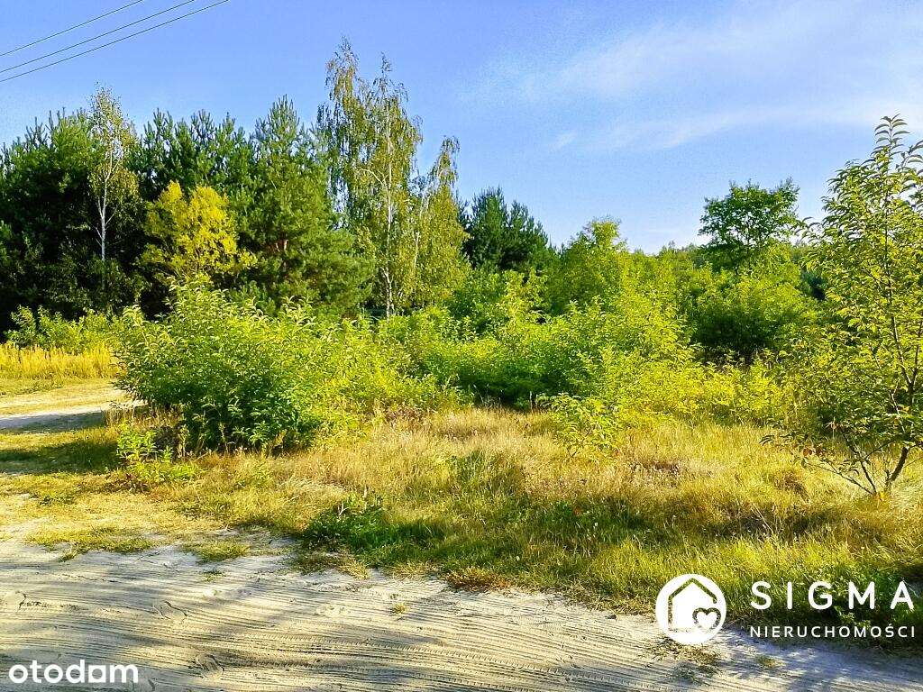 Piękna działka przy lesie I MPZP I media-1