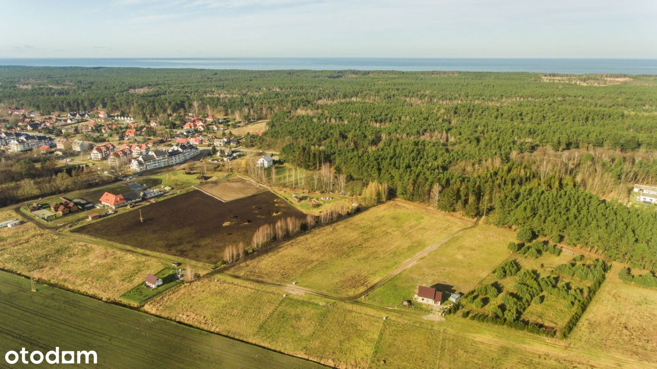 Działki nad morzem w Sztutowie nieopodal lasu