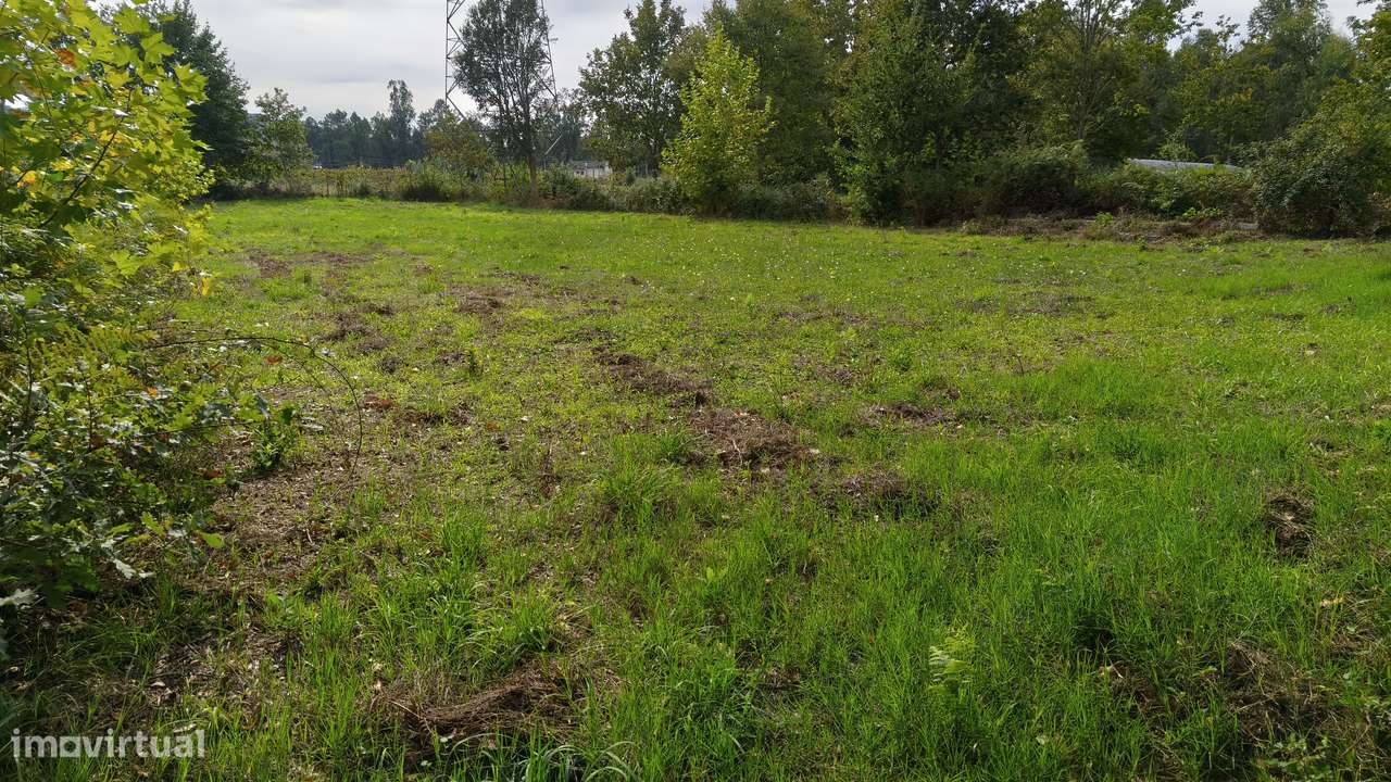 Terreno em Verim, Póvoa de Lanhoso-10