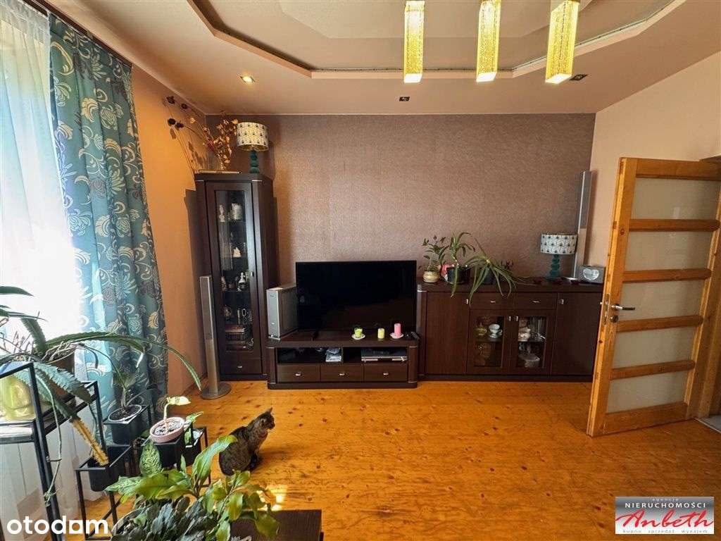 Duża działka z potencjałem-7