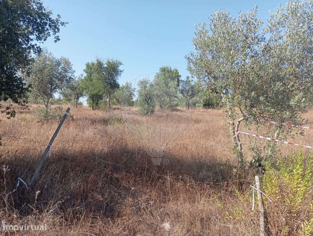 Terreno  para venda - Grande imagem: 4/6