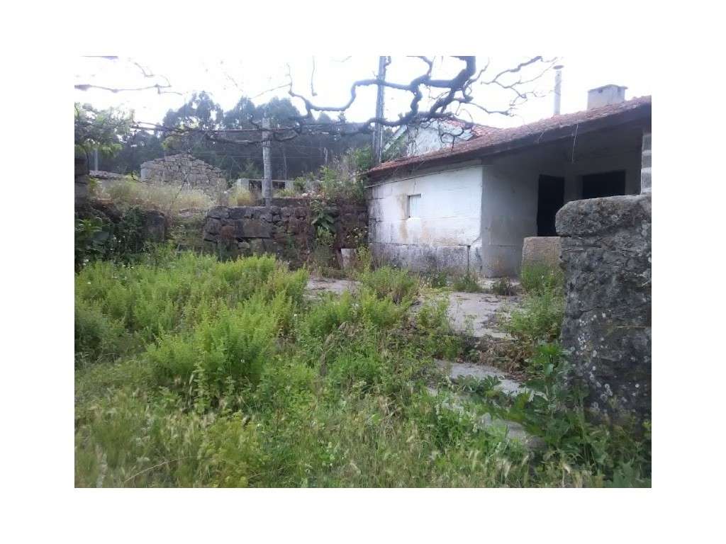Quintinha p/ recuperar-9