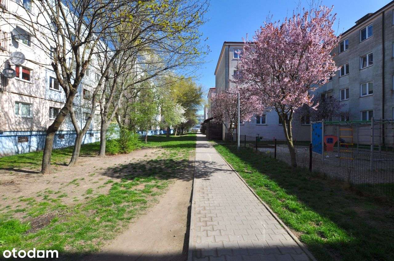 4 pokoje, kuchnia, balkon, cicho i zielono-18