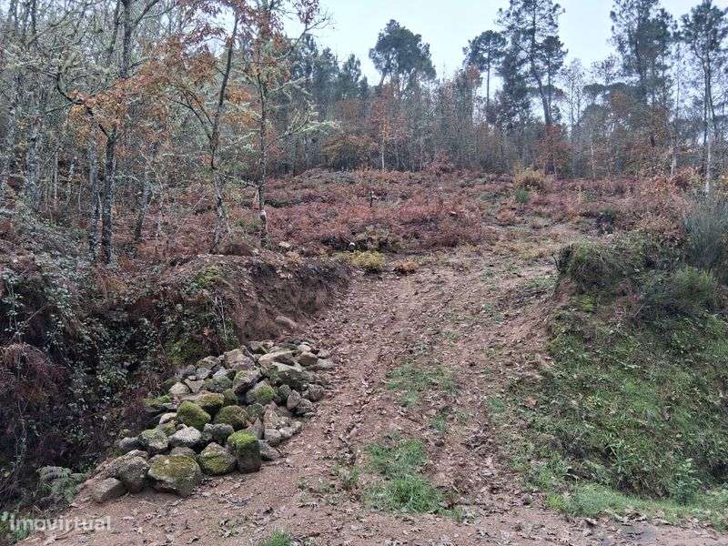 Terreno de frente com a barragem de Fagilde Mangualde - Grande imagem: 4/7