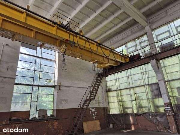 Lokal użytkowy, 5 024,50 m², Pionki-9