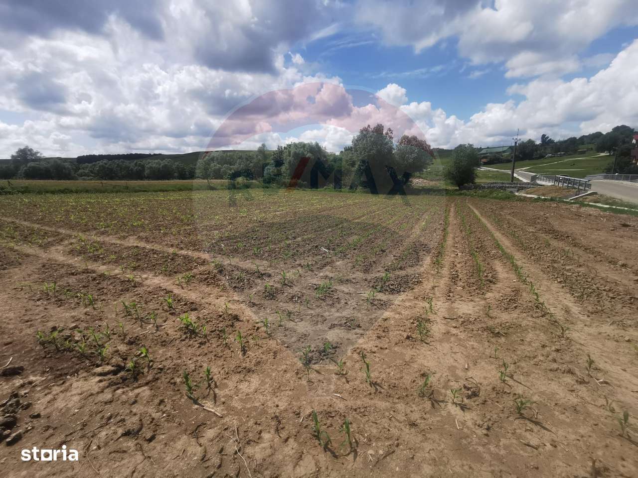 DE VÂNZARE TEREN INTRAVILAN SAU PARCELA – Șomcuta Mare (0% comision) - Imagine principală: 5/6