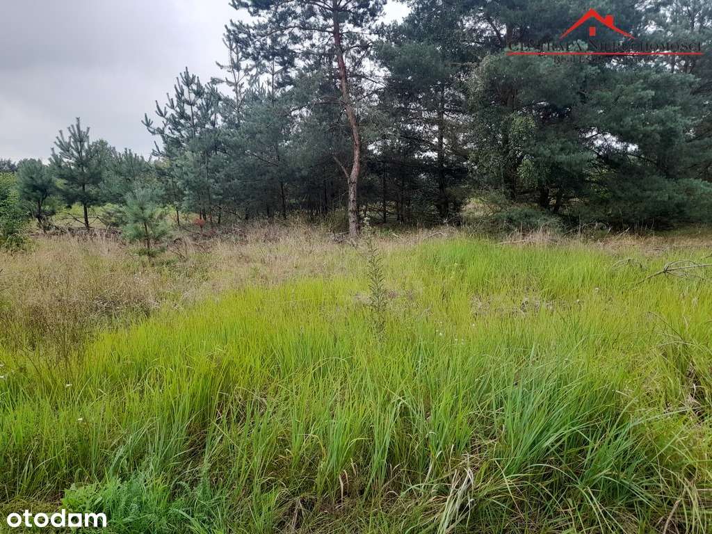 Dwie piękne działki w Gutowie-6