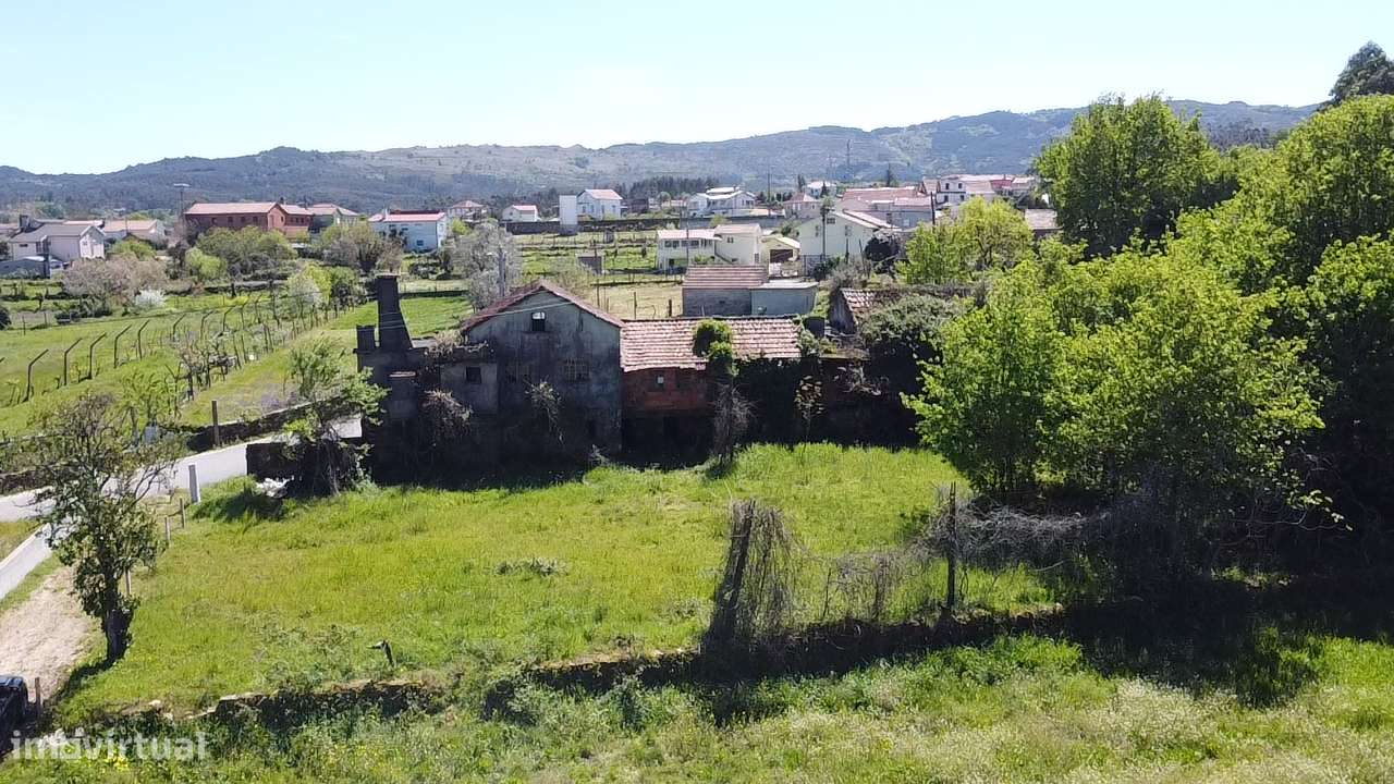 Quintinha – Oliveira de Frades-19