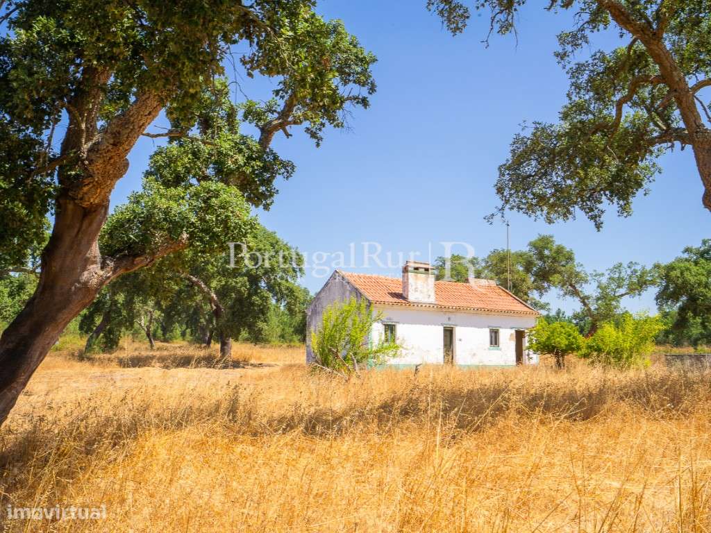 Quinta de 20ha com projeto para Turismo Rural a 1h de Lisboa-28