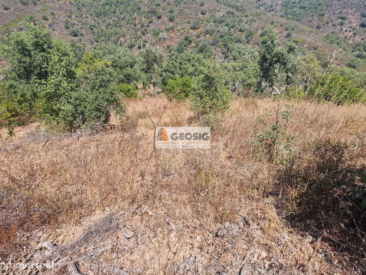 Terreno Rústico  Venda em Santana da Serra,Ourique - Grande imagem: 5/20