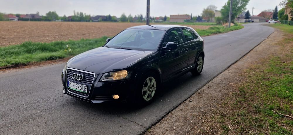 Audi A3 8P 1.9 TDIe DPF 2009