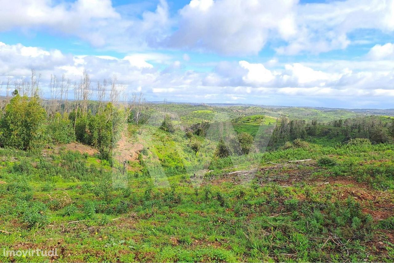 Terreno Rústico com 261040m² e construção rural em Vale de Boi Velho