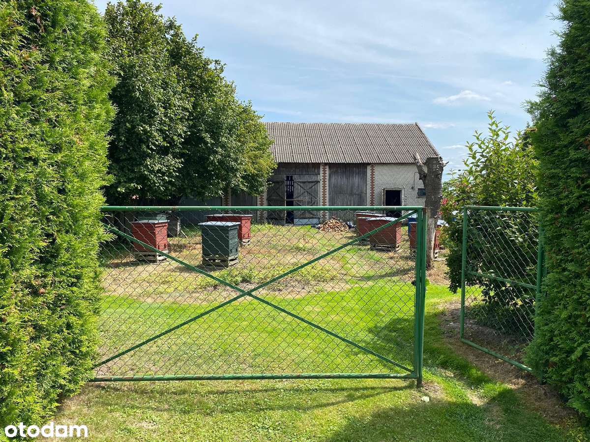 Urocze siedlisko z pięknym ogrodem – dom 90 m² i 0,72 ha ziemi -Osinki - Pełny obrazek: 4/15