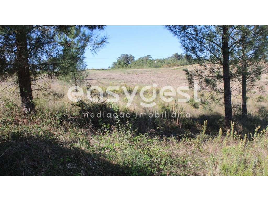 Terreno Urbano localizado a 5 km da Albufeira do Castelo de Bode - Grande imagem: 1/8